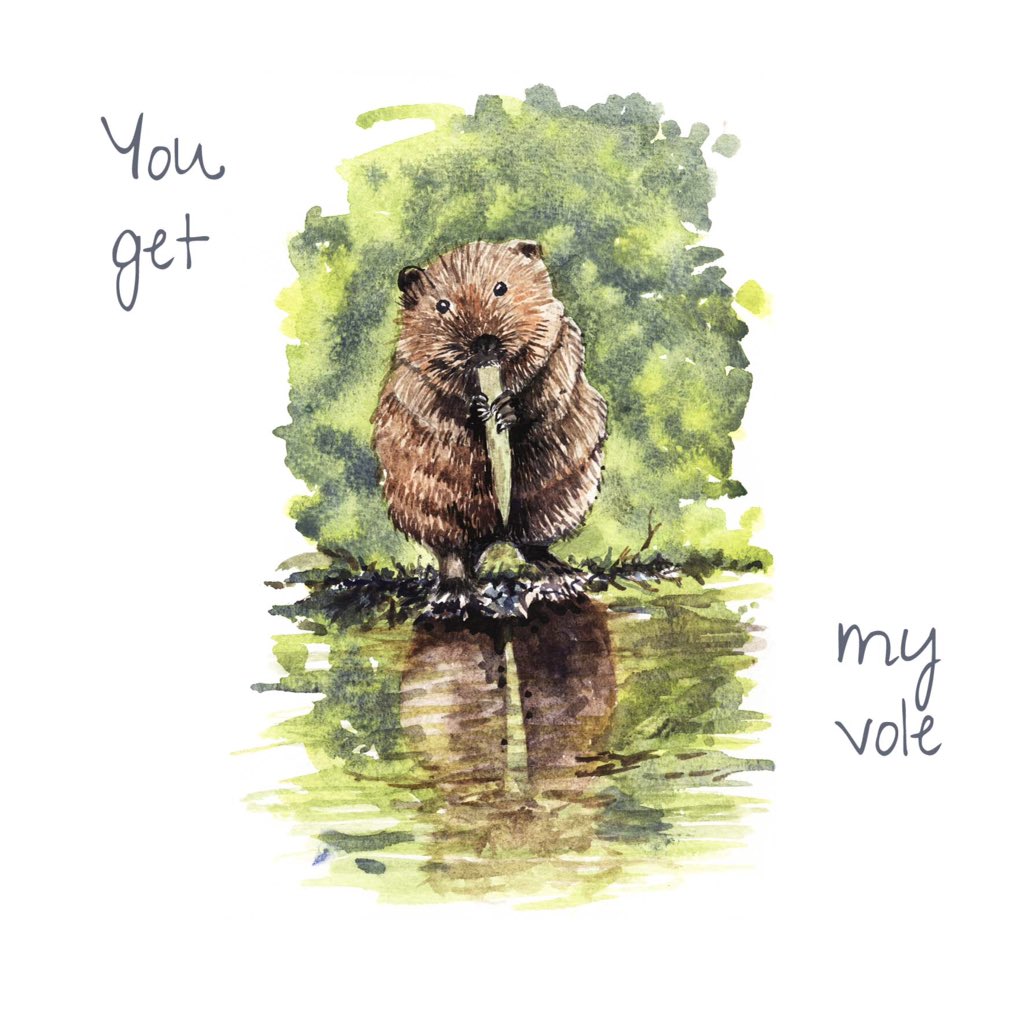SunPennies's tweet photo. @WildlifeTrusts and here is the card to prove it! #watervoles #cards #nature https://t.co/NGkEnteV2A