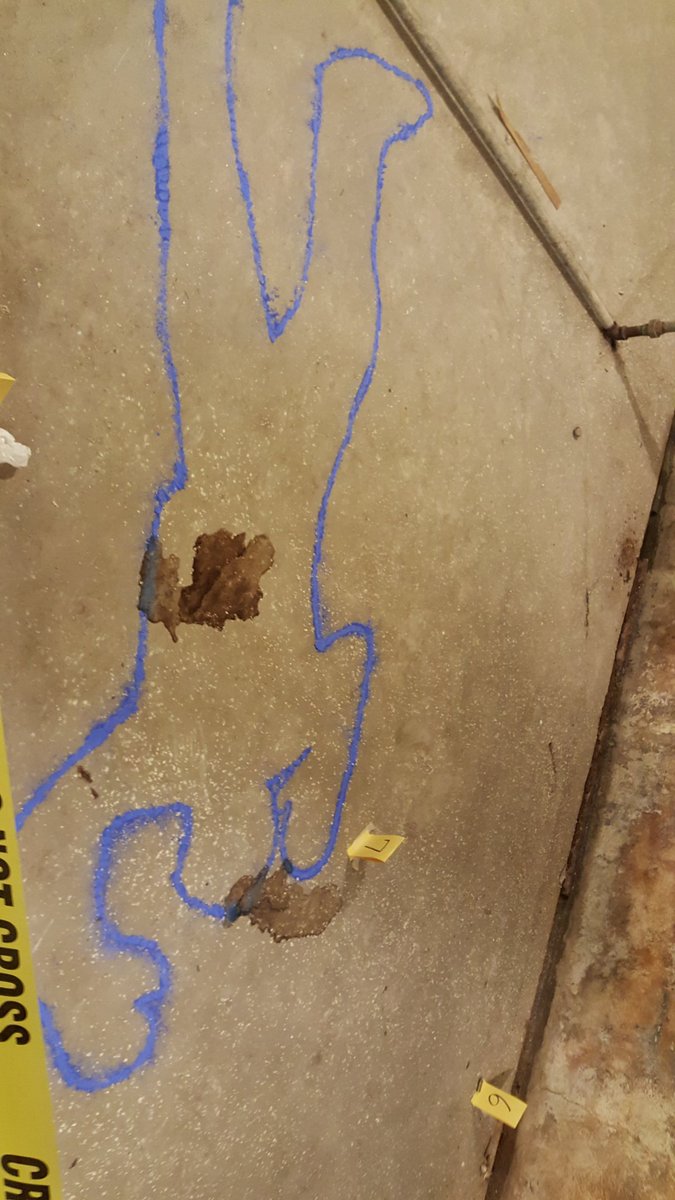 Crime Scene Investigation is underway for 7th grade!! Double homicide..#whodunit #csi7th grade <a href="/NewBridgeBears/">New Bridge Middle</a>