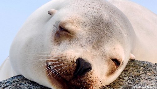 OurOcean's tweet photo. Monday mornings... https://t.co/YXXokuU5ey