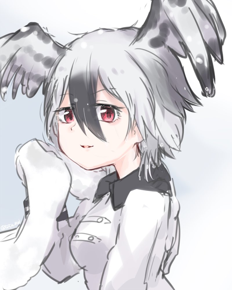けものフレンズ その2 けものフレンズ けもフレ たつのねをのイラスト けものフレンズ その2 けものフレンズ けもフレ たつのねをのイラスト