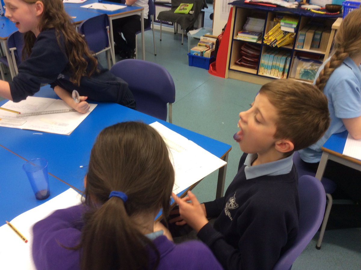 stmarysrcmidd's tweet image. 6G investigating whether they were super tasters or not. #bbcscience #terrificscientific @UoMSEERIH