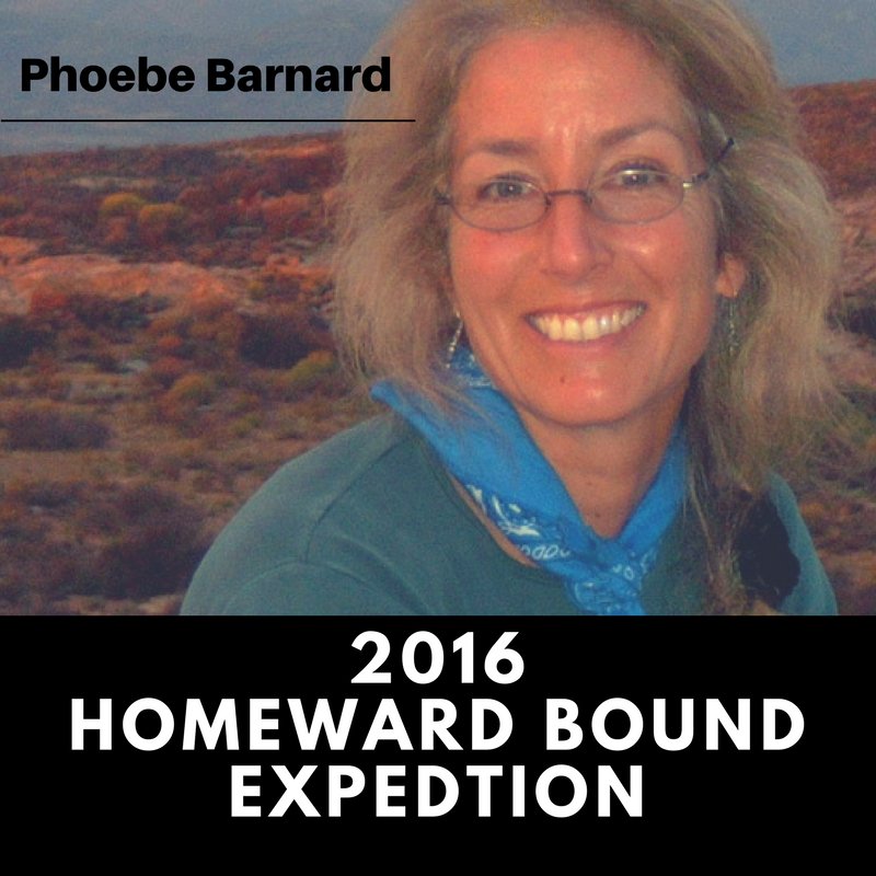 un academic impact on twitter meet phoebe barnard a biologist and