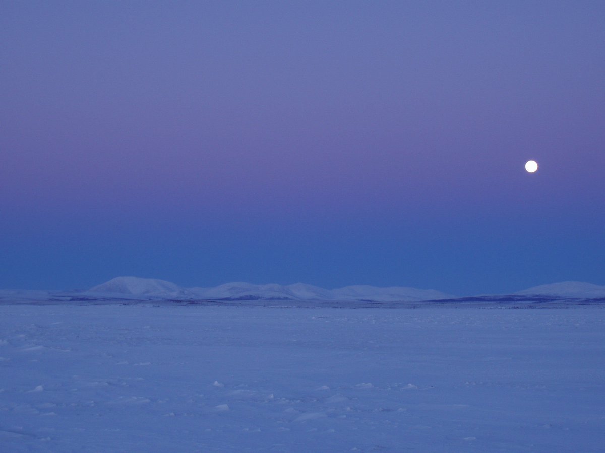 AlaskaNPS's tweet photo. #MondayMotivation “There are nights when the wolves are silent and only the moon howls.” -George Carlin. Look at the beauty around us. ~cw https://t.co/b2ahGNT4ow