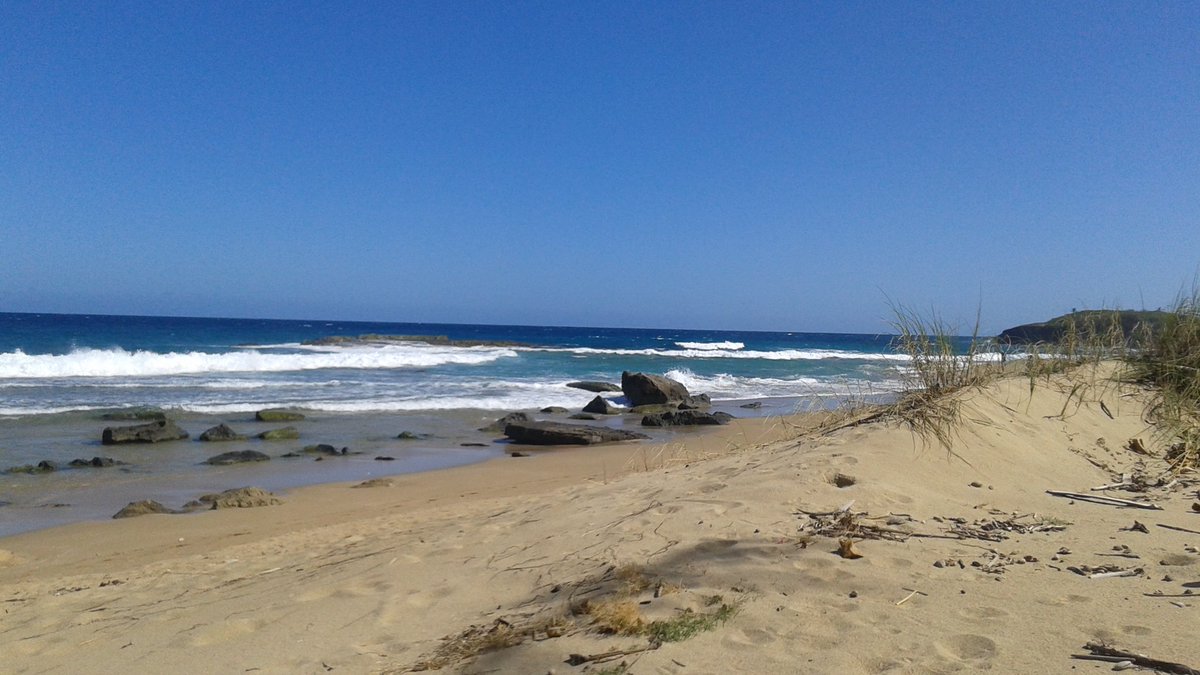 JamisonJune's tweet photo. Most beautiful beaches in Puerto Rico in the most beautiful day https://t.co/t5Ixhtk9AA