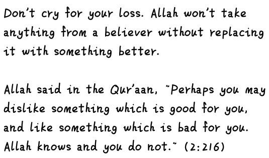 scrollrtfav's tweet image. 