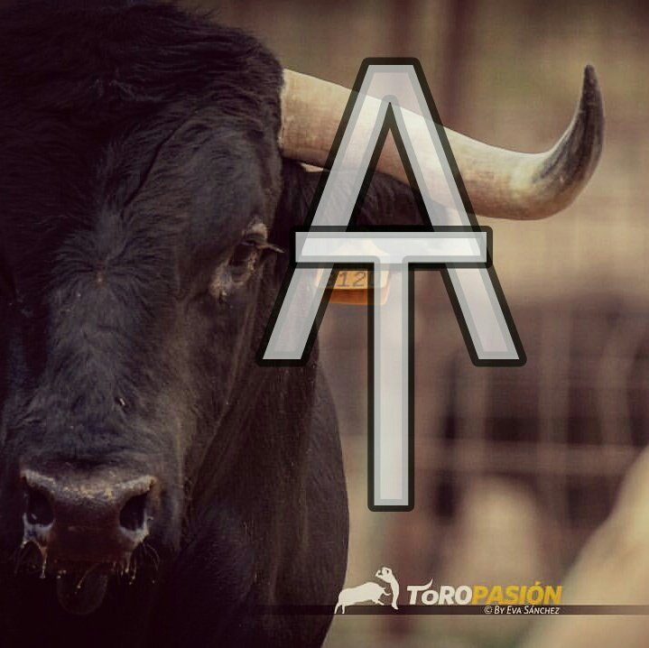 AmantesToro's tweet photo. Ya tenemos nueva foto de perfil !!!👏👐
#NuevaFotoDePerfil https://t.co/VBNWovU4i0