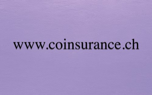 Wagdi_SpotNet's tweet photo. #coinsurance.ch Premium domain name  for sale. 
#Domains #domainnames #insurance https://t.co/BmYrCHLKiY