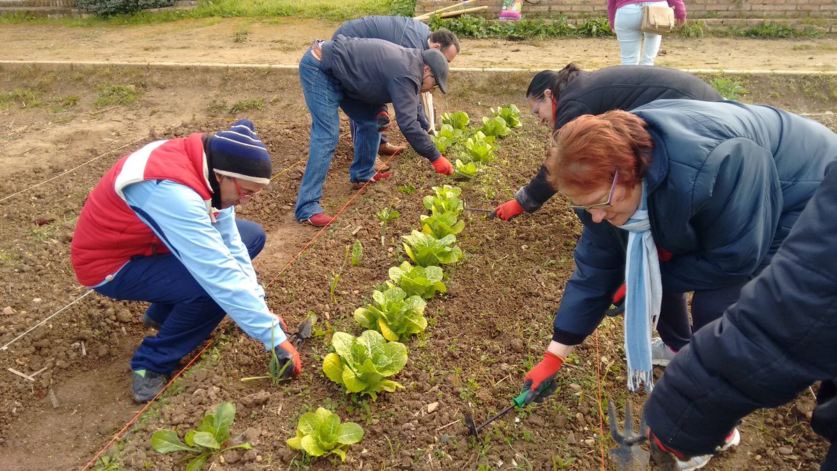 Ayer tuvimos un día increíble con los miembros de la asociación Paz y Bien. Encantados de conocerlos y trabajar conjuntamente;) #HuertoSalud
