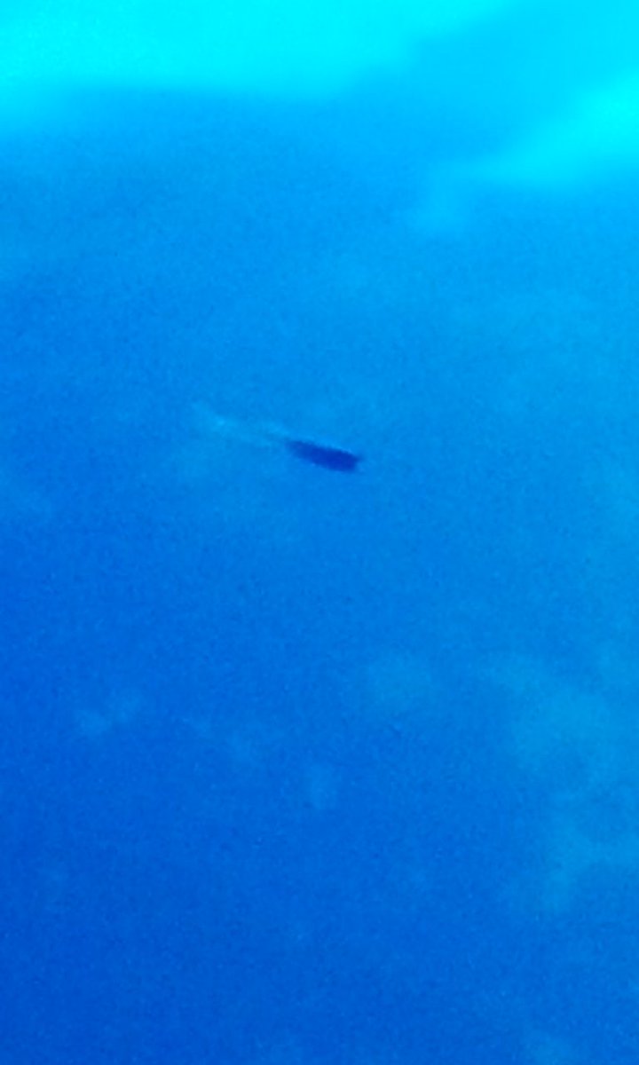 RaffeMore's tweet image. Según las últimas estadísticas del ambulatorio Angel E miro Govea las enfermedades de la comunidad. Son escabiosis..