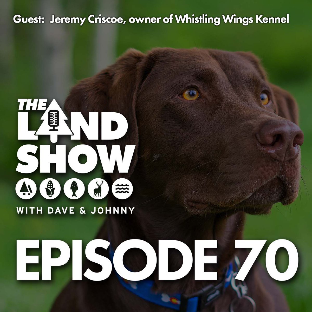 New episode is up on the website! #TheLandShow ow.ly/7saU308uof2