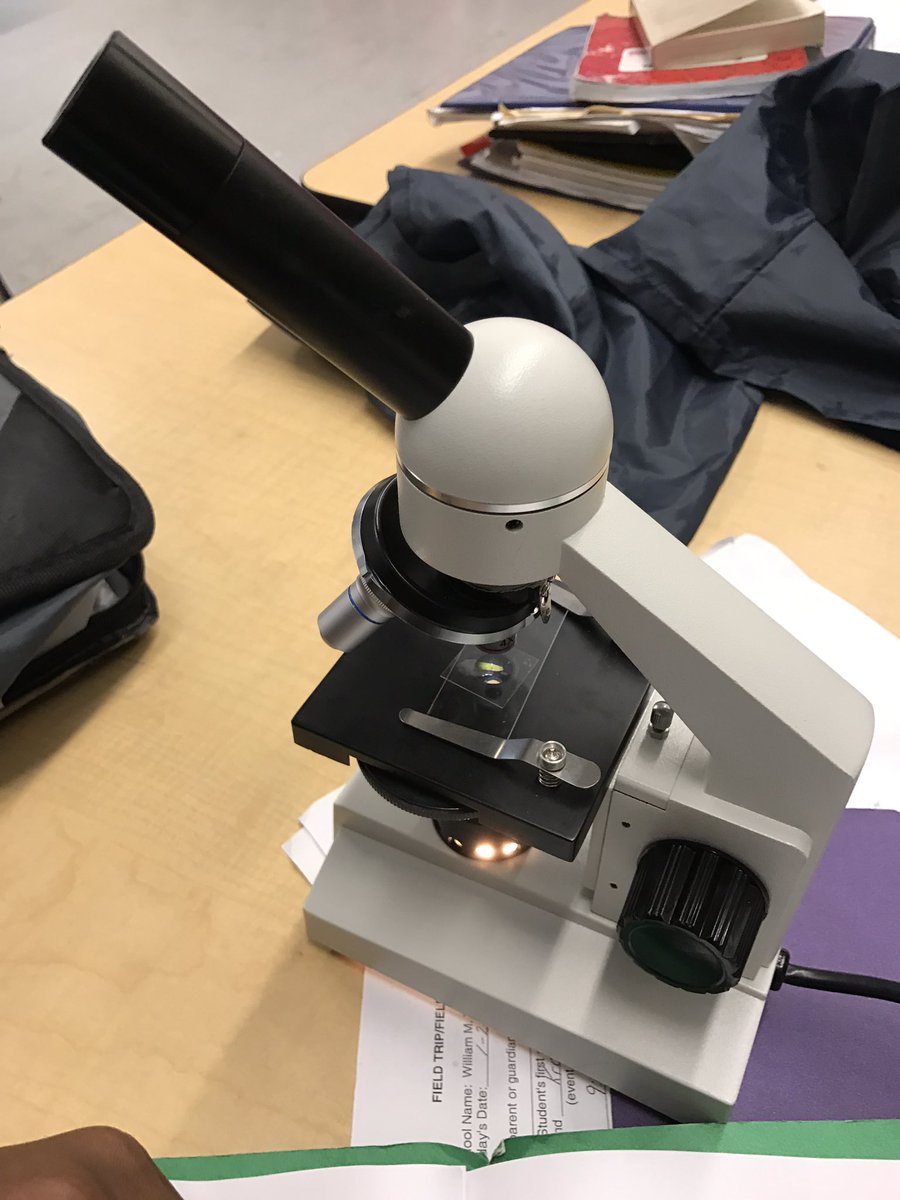 Jay Duhaime (@mrd_parkschool) on Twitter photo Trotter student observing paramecium under microscope Finding single cell organisms is hard! #trotterpride <a href="/trotterschool/">Trotter Elementary ParentCouncil</a> <a href="/BPSScienceHolly/">Holly Rosa</a> Trotter student observing paramecium under microscope Finding single cell organisms is hard! #trotterpride <a href="/trotterschool/">Trotter Elementary ParentCouncil</a> <a href="/BPSScienceHolly/">Holly Rosa</a>