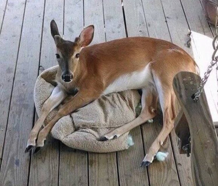 Vaping Kills tweet media