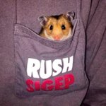 Photo by FSU SigEp (@FSUSigEp)