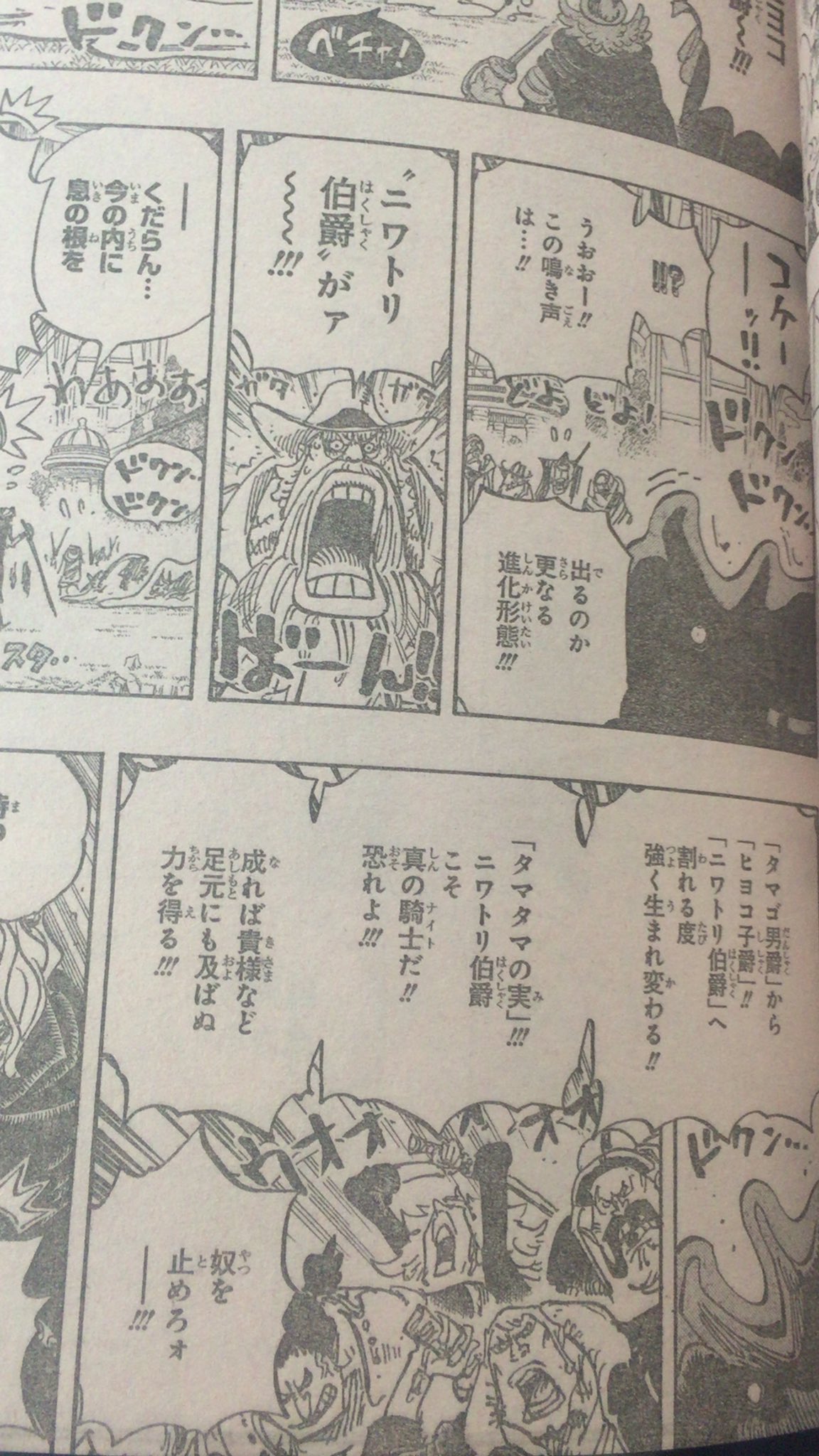 ワンピース タマゴ男爵の強さや能力とは 過去や声優情報も調査 2ページ目 Selvy