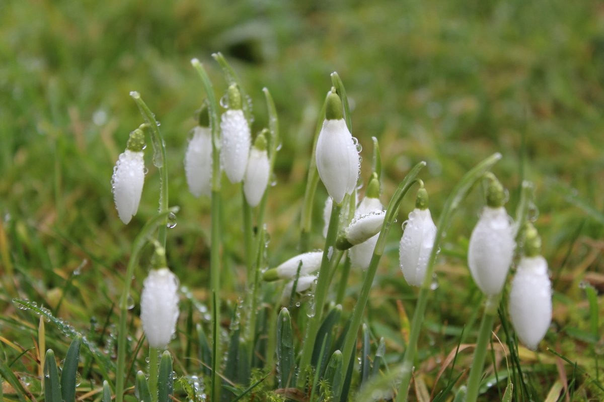 VisitWiltshire tweet media