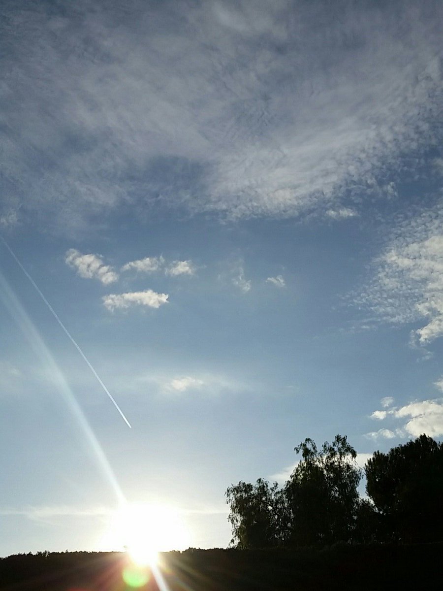 Alicantinius_69 tweet picture