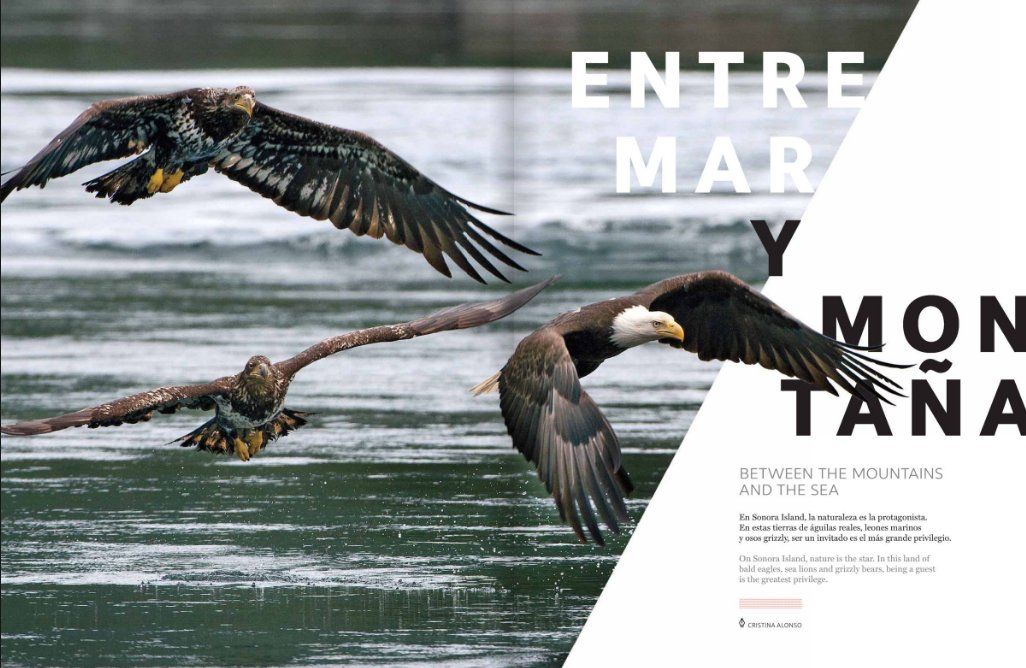 Revista Accent tweet media