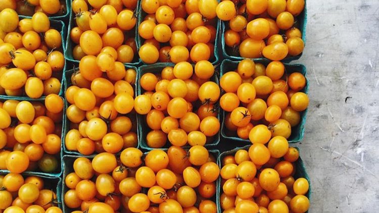 Entre bambalinas 🍅🍅