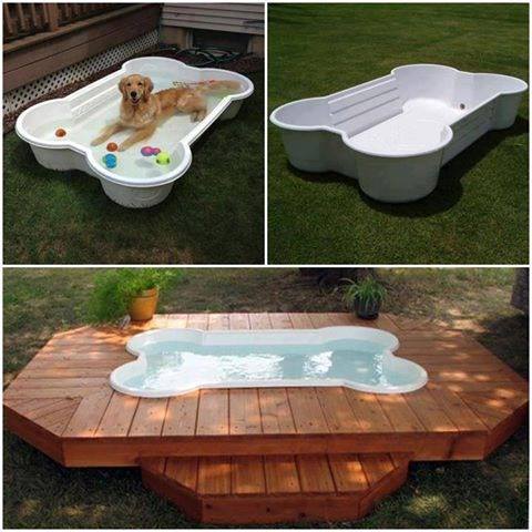 This is pawfect! A bone-shaped pool for our favorite doggy-paddling furry friends!