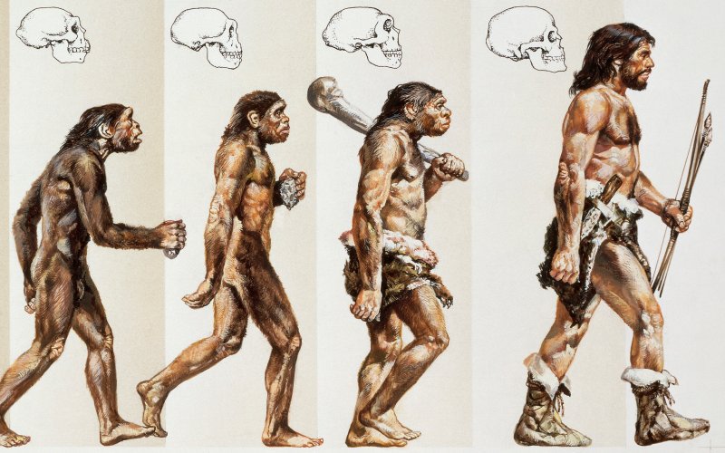 docparsley's tweet image. If we could have evolved to sleep less, natural selection would have favored that. The fact that it didn't speaks volumes. #NotALuxury