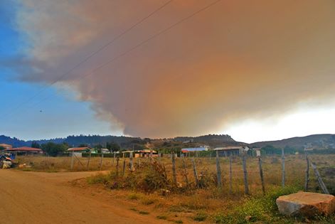 alegriagonzaa's tweet photo. #URGENTE B4 #SnAntonio BX1 RX1 #StoDgo K1 J1 #Pichilemu BX1 B2 Z3 RX3 J2 #Navidad B2 #Marchigue trabajan en INCENDIO FORESTAL "Tumán" https://t.co/5EBuxgZ13d