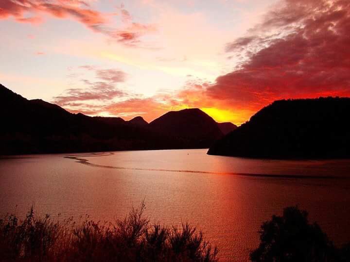 Skaterdb tweet media