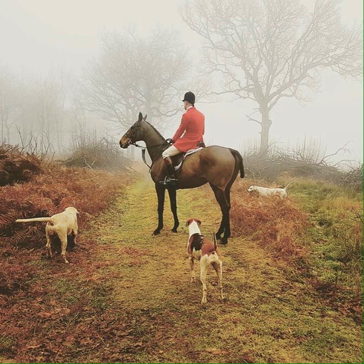 KeepHuntingUK's tweet photo. A foggy afternoon.

Hunting is an important part of the fabric of country life. #Hounds #Horse #Hunting https://t.co/eXi0RrOSxi