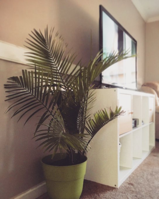 Best thing this past week: LIVINGROOM - More on my blog about our #minimalist transformation https://t<a href="/tag/minimalist"class="tags"><span>#minimalist</span></a>