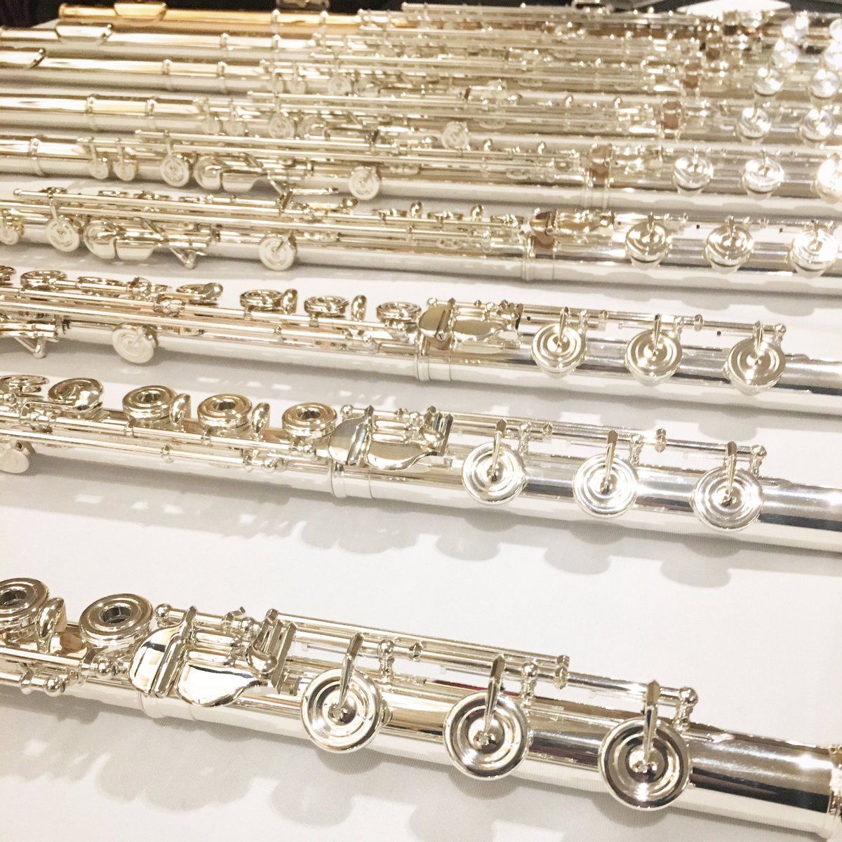 We are looking forward to visiting the Univ of Central Florida, Univ of Florida, Stetson &amp; the University of South Florida this week!