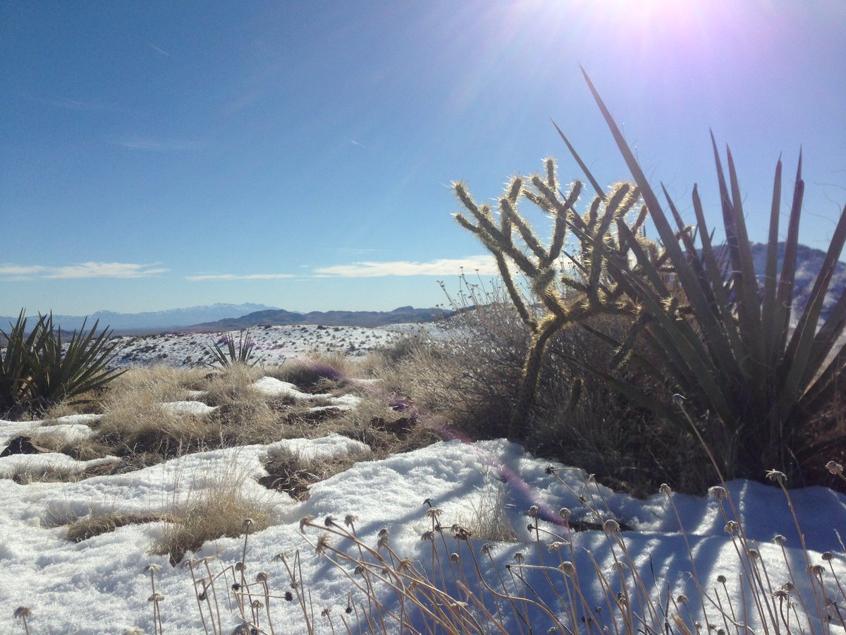 Fatracks_'s tweet photo. Snow in the desert is awesome!!! https://t.co/f4FgPeaZcU