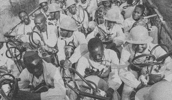 Imagine No Malaria tweet media