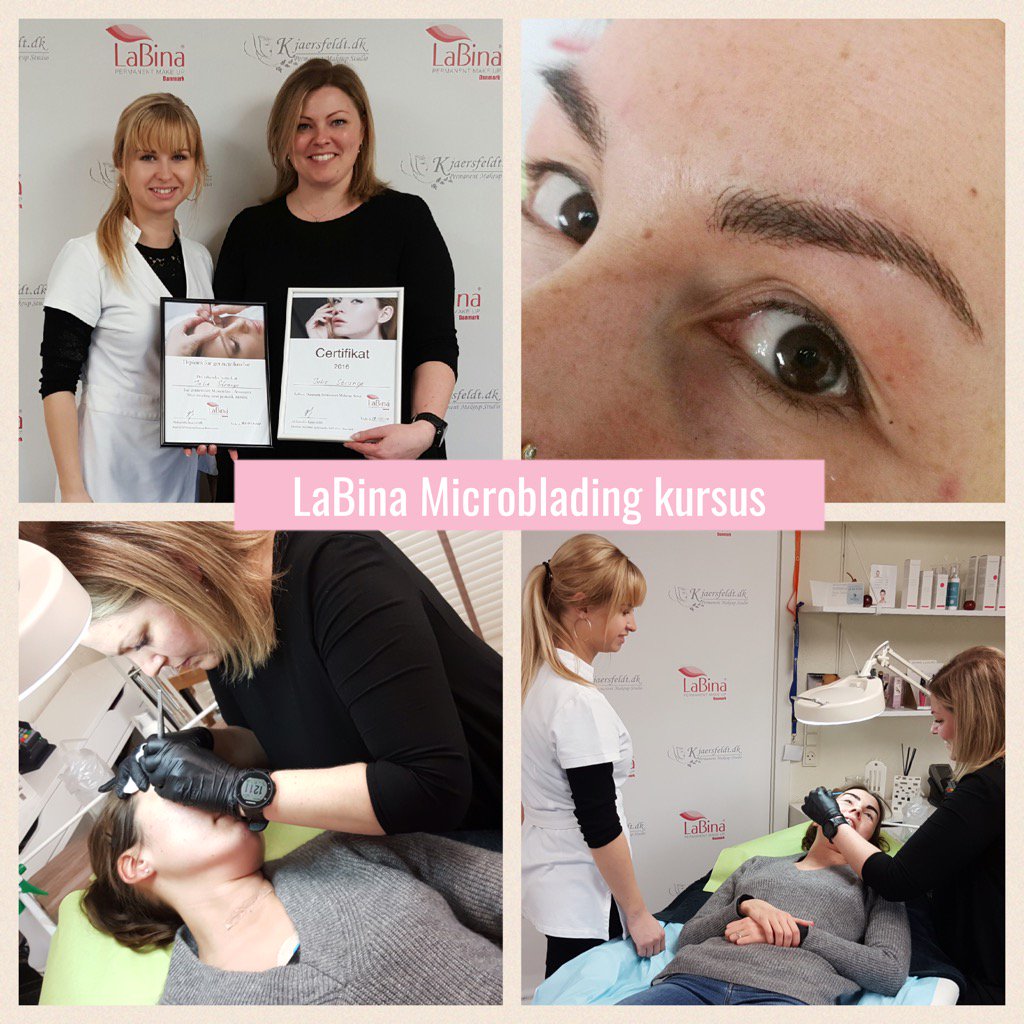 Labinadk's tweet photo. #microbladingcourse #labinadk #kjaersfeldtpermanentmakeup https://t.co/BAtPgPGFE7
