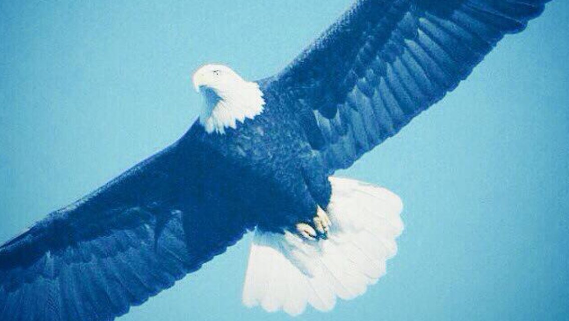 AbbasBoran's tweet photo. @deryusbjk #BEŞİKTAŞ #BEŞİKTAŞ #BEŞİKTAŞ https://t.co/Yc5KN7NmVm