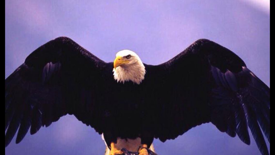 AbbasBoran's tweet photo. @KeskinKalemden #BEŞİKTAŞ #BEŞİKTAŞ #BEŞİKTAŞ https://t.co/QhsqV8ehra