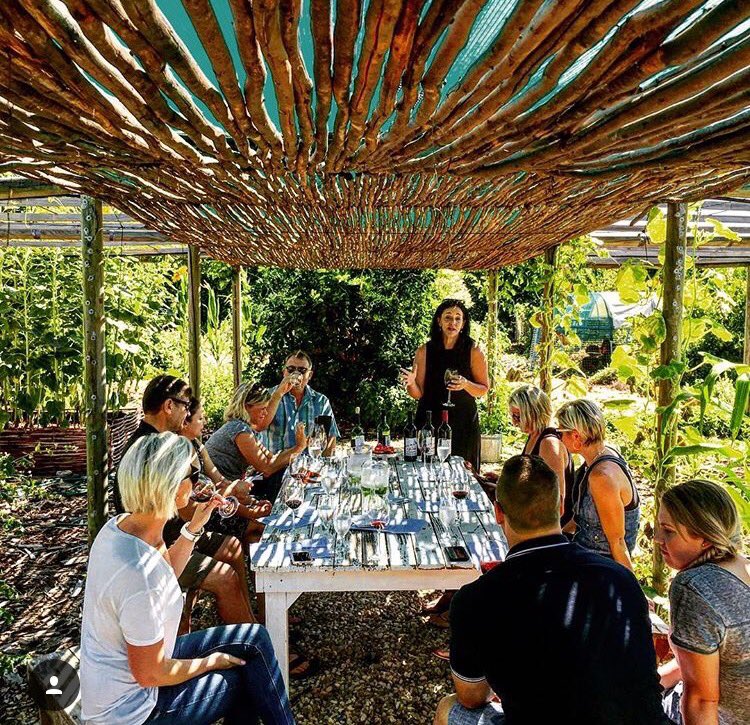 jean_vogler's tweet photo. Perfect weekend away at @PicardiPlace - pasta, wine and puppies for the win! https://t.co/S98osZLMFH