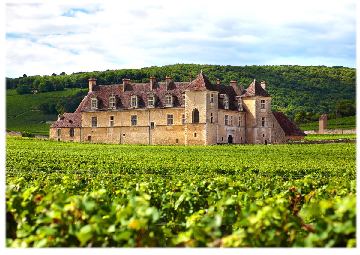 WineBusinessEdu's tweet photo. Last week, #SWSB professor Laurence COGAN initiated #BSB students to #WineTourism during one-week #ExcellenceProgramme ! https://t.co/baI6fEYNZw