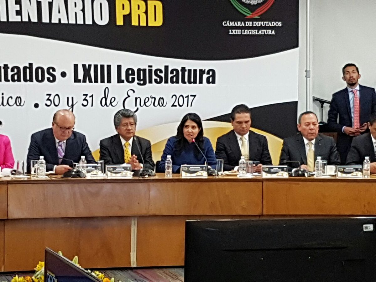 NotiAleBarrales's tweet photo. Quiero reiterar el papel tan importante que debe jugar el #PRD ante los problemas que están dañando a las familias mexicanas: @Ale_BarralesM https://t.co/5HLXEPzKX4