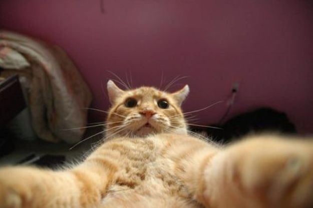 AzurePanzu's tweet image. Senden Akt.