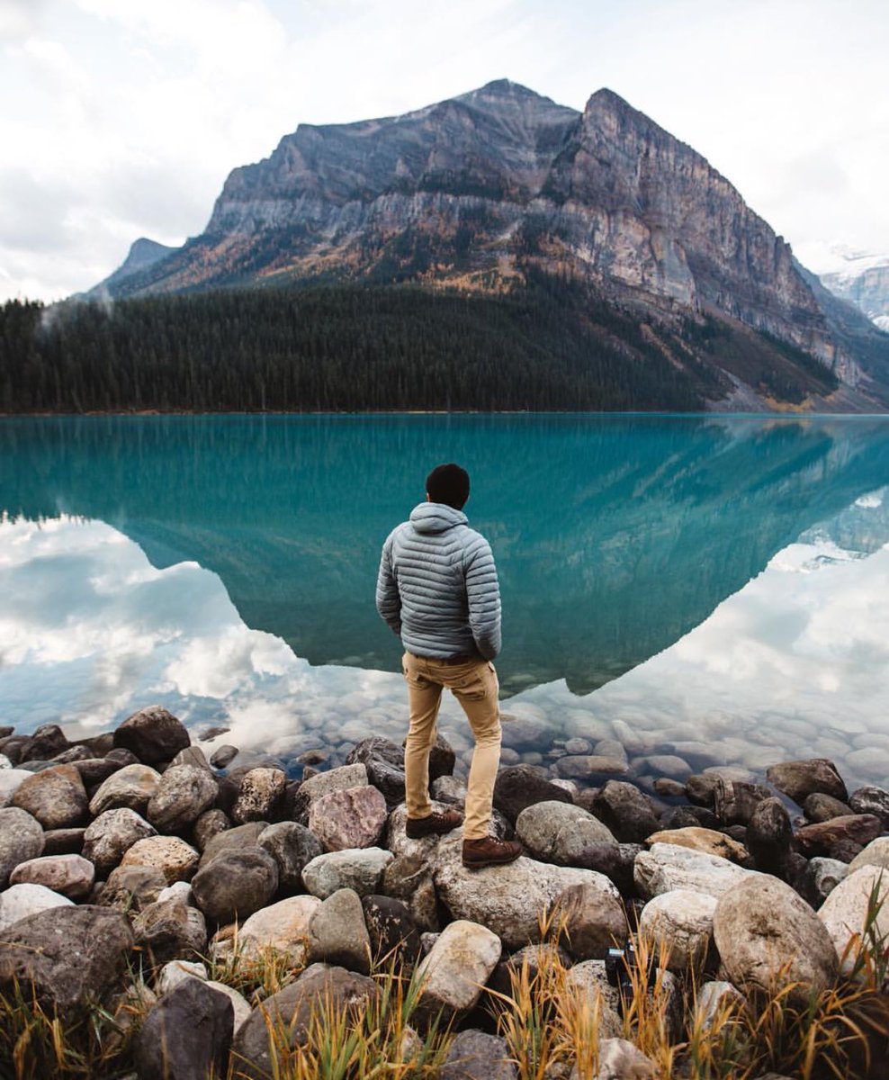 American Nomad tweet media