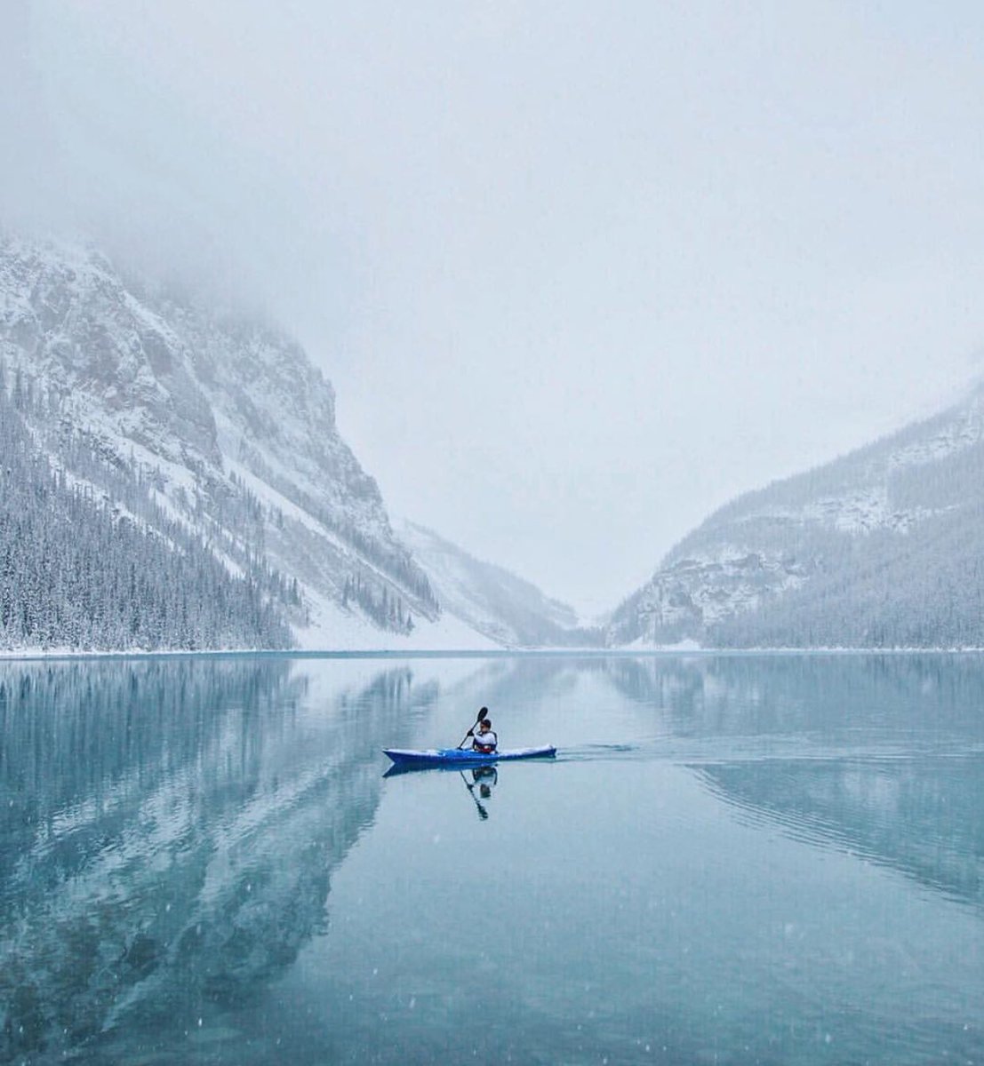 American Nomad tweet media