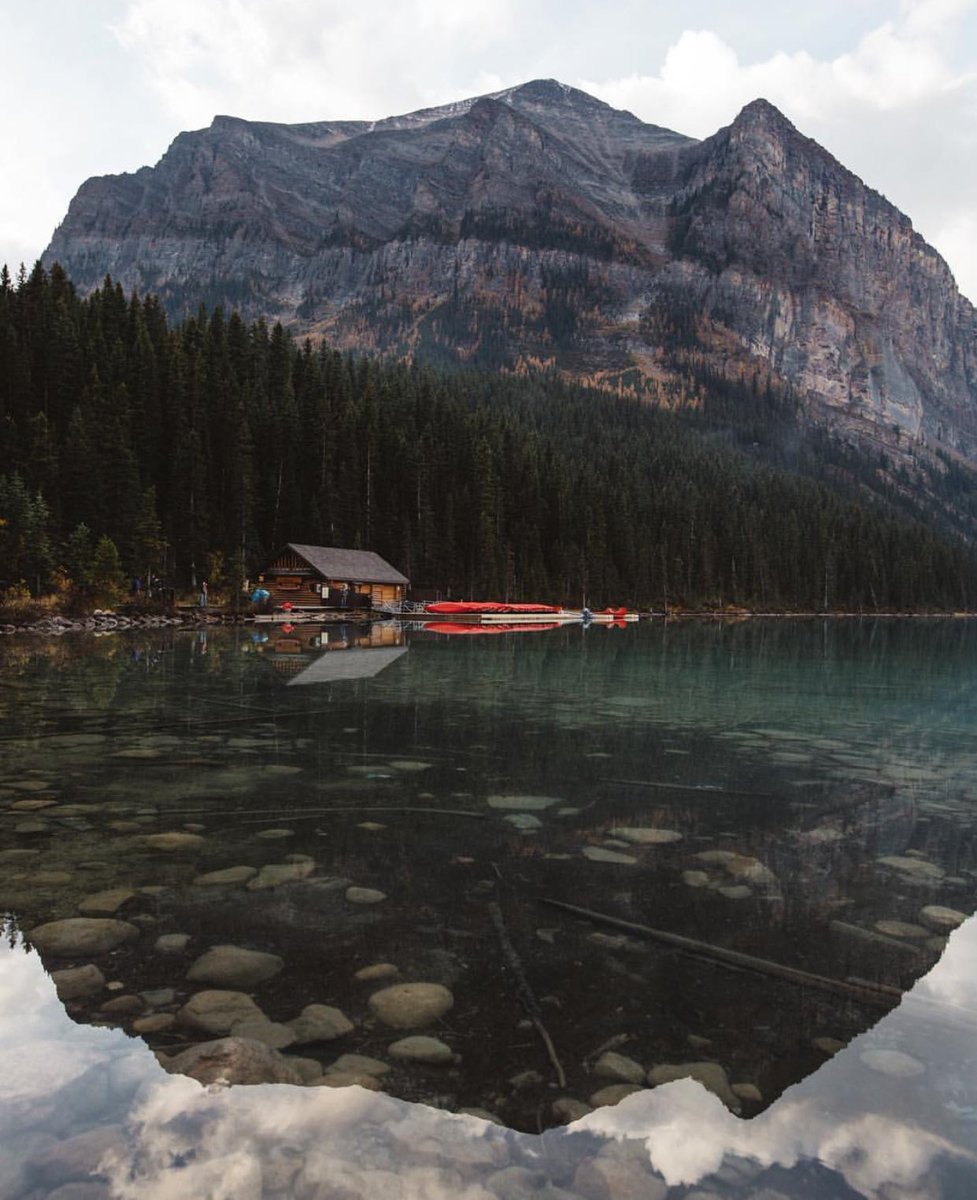 American Nomad tweet media