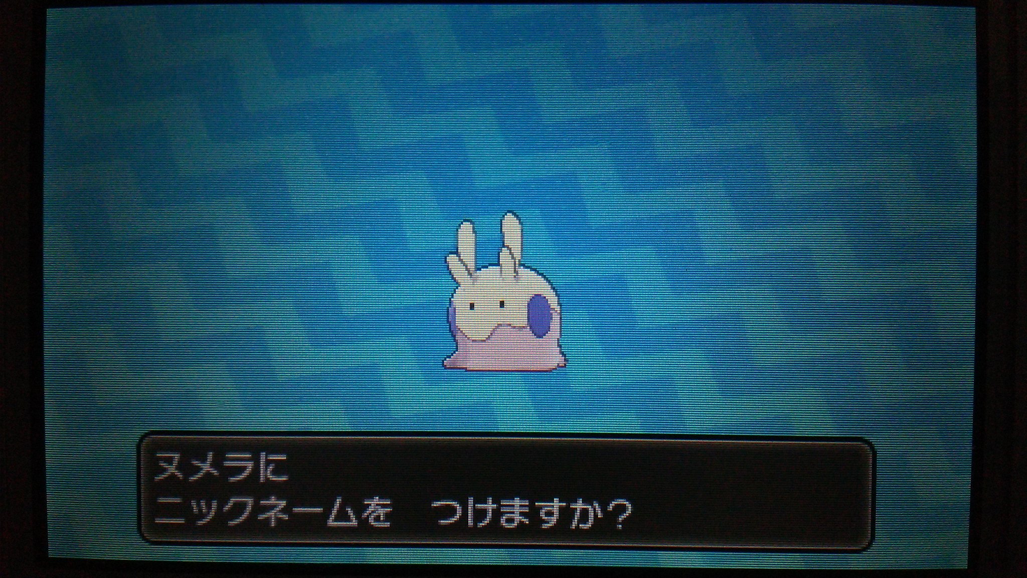 ポケモン国際孵化 Twitter Search Twitter