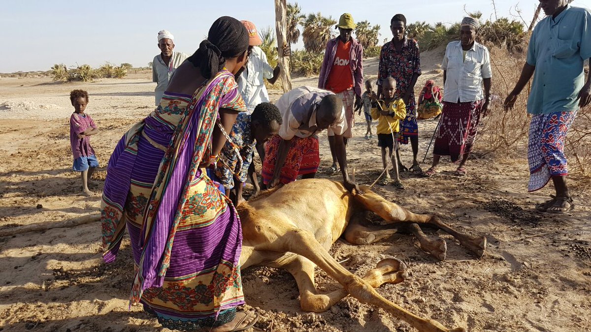 KenyaRedCross's tweet photo. No one has ever become poor by giving. Let's help our brother &amp; sisters affected by the ongoing drought. #EmbraceAFamily #WeAreAllKenyans https://t.co/ImrD3Fkw5E