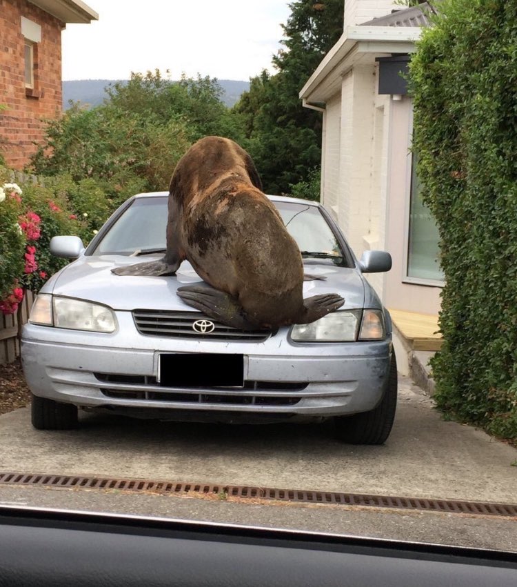 Vaping Kills tweet media