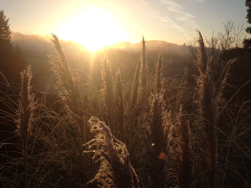 Beautiful sunrise this morning <a href="/TheSamlingHotel/">The Samling</a>