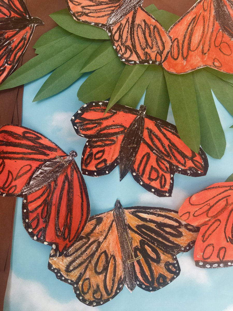 kjtroxel's tweet photo. Monarch butterfly migration study in Mrs. Benson's 4th grade #MVS #oceanviewsd https://t.co/vvsum6Q0r9