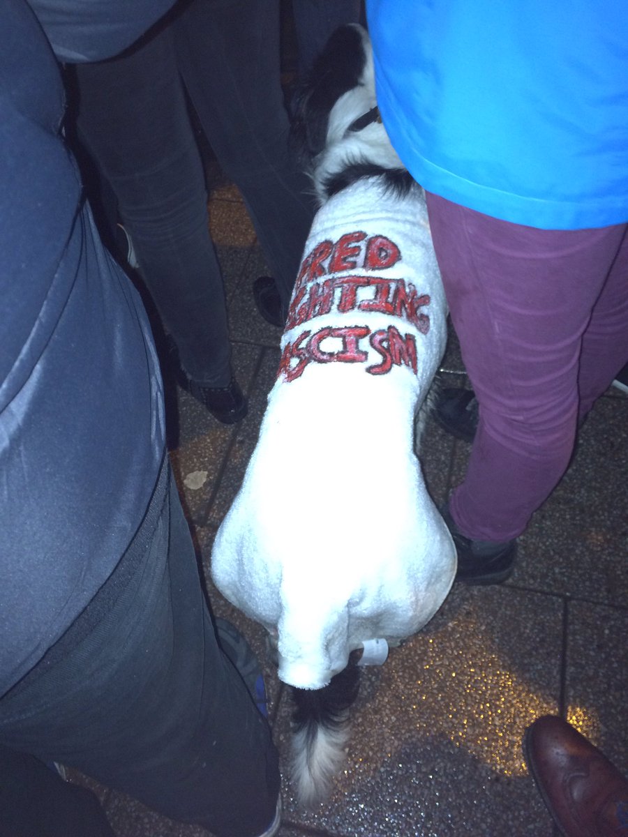 hanshare's tweet photo. Our canine friends are out protesting at #Cardiff #MuslimBan @CriticalCardiff https://t.co/528n2HcxVG