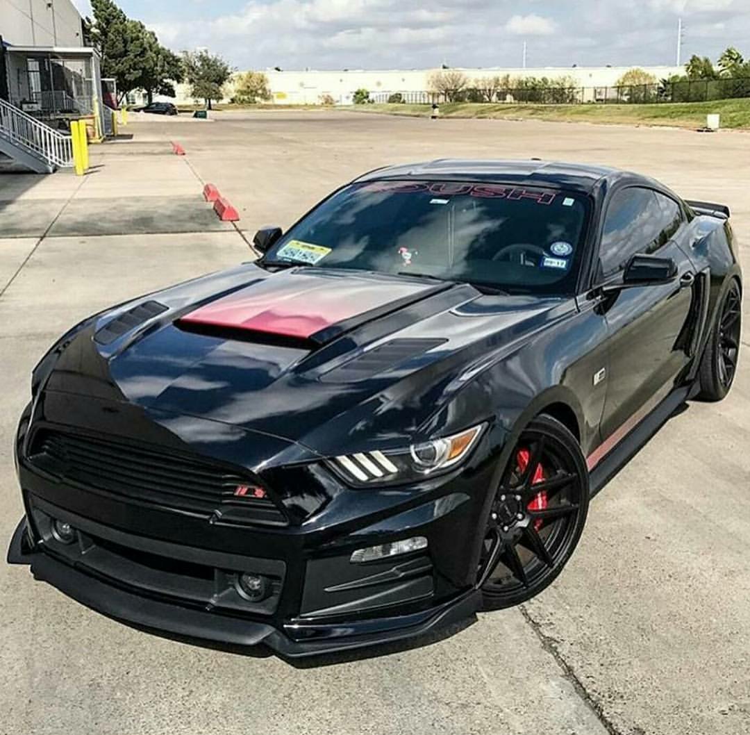 RidesAmazing's tweet photo. This beautiful Roush 5.0 😍 https://t.co/sc6HCySJHM