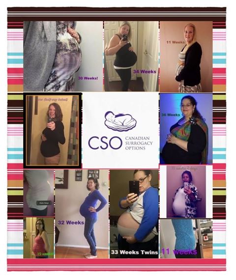 CSOJoanne's tweet photo. Need an extra smile for your Monday afternoon? Check out these gorgeous bumps!!<3  #TummyTuesday #Surrogacy #canadiansurrogacy #CSOSurrogate https://t.co/IsoIt246iv