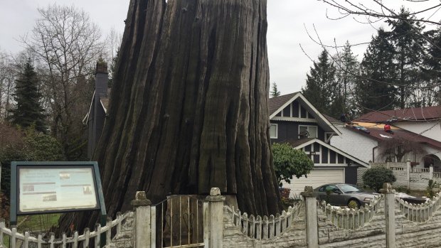 What's it like to live with a historic landmark on your doorstep? Take a look! ow.ly/Xuuj308qNjD #Surrey #RealEstate